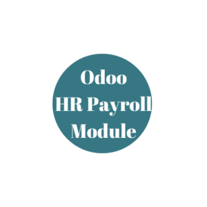 Odoo HR Payroll Module